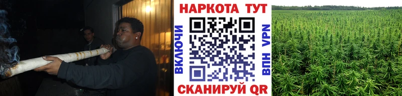 Купить закладку Володарск Каннабис  A-PVP  COCAIN  ГАШИШ  Мефедрон 