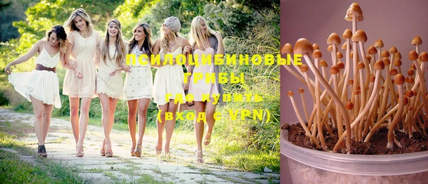 MDMA Premium VHQ Белоозёрский