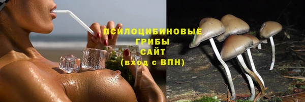 не бодяженный Болхов