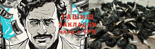 амфетамин Белокуриха