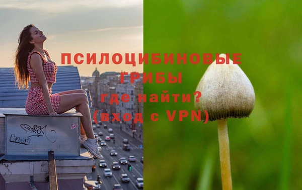 каннабис Беломорск